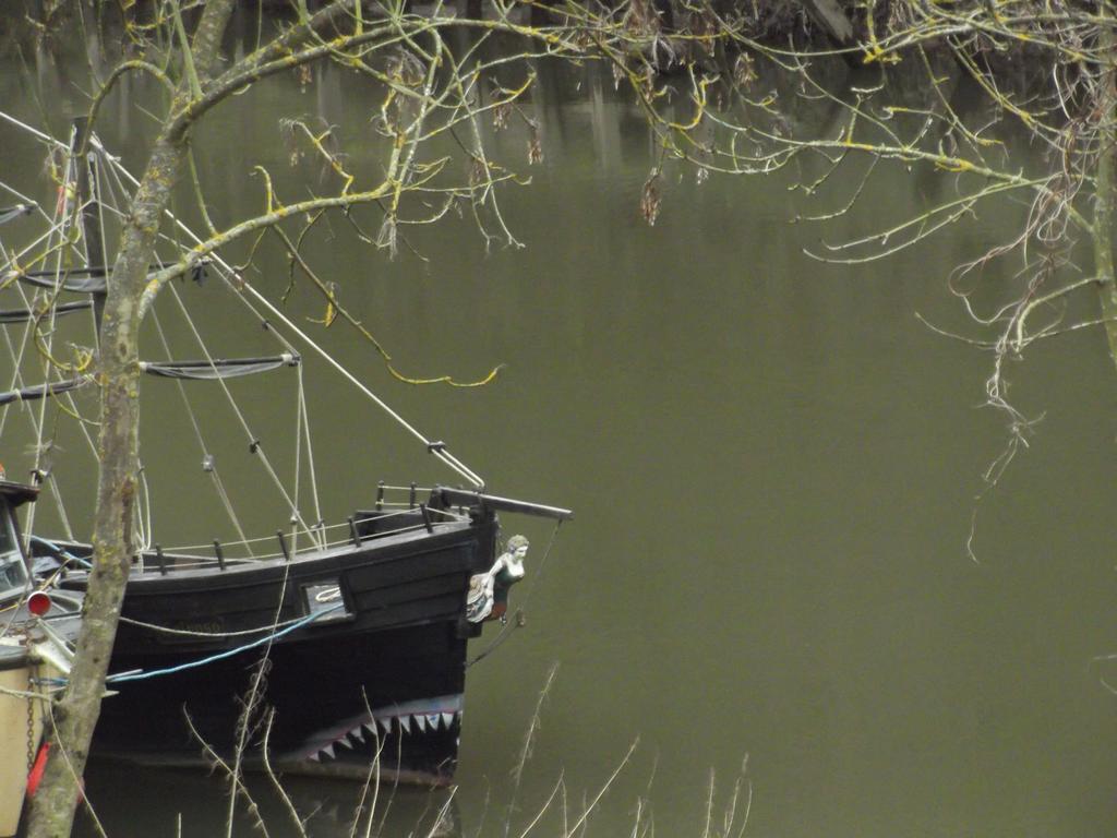 Firs Riverside B&B Ironbridge Bagian luar foto